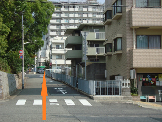 大内通 整体